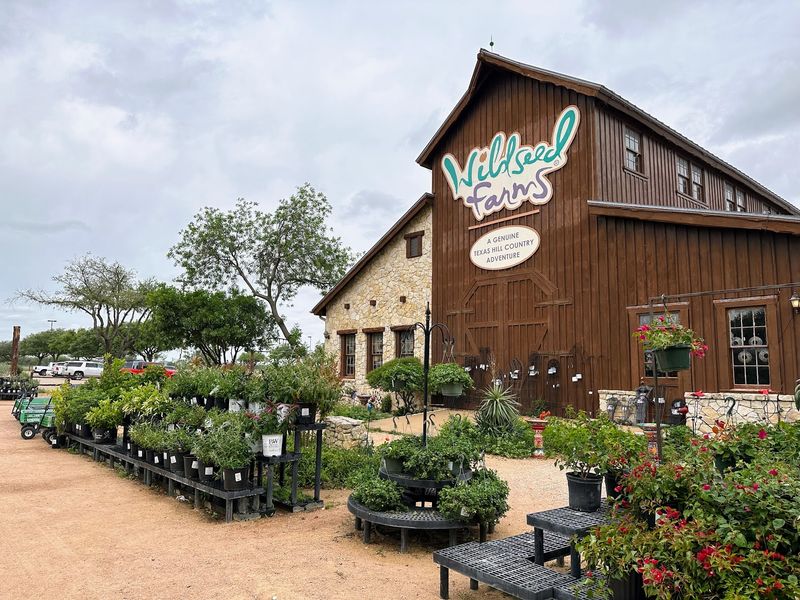 A Nursery Full of Texas Native Plants