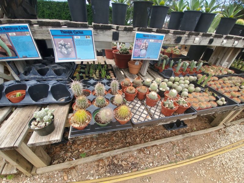 A Peaceful Escape for Families and Plant Lovers