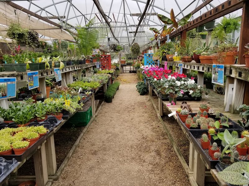 A Plant Selection You Can Get Lost In