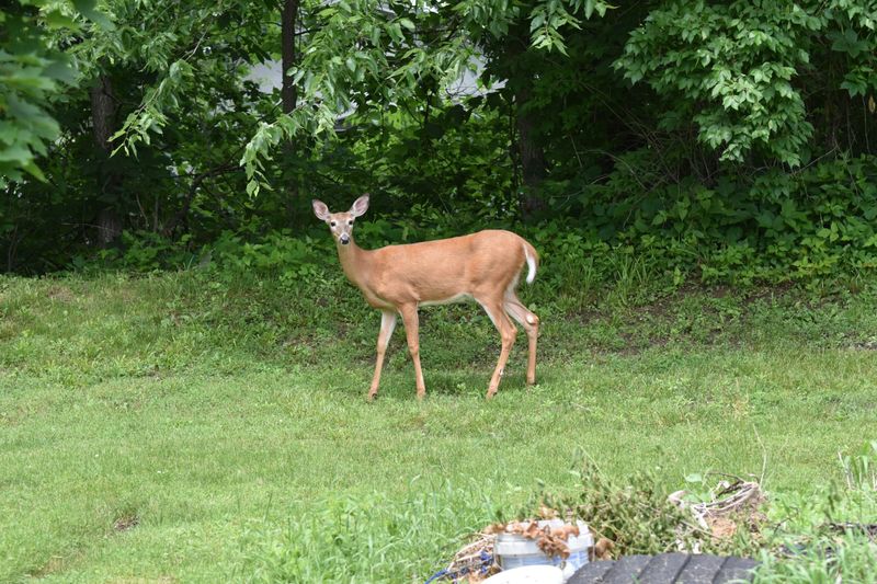 A Quick Yard Audit Reveals Where the Pressure Is Highest