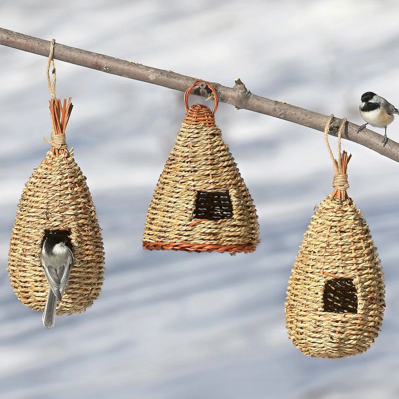 A Roosting Pocket Is Not a Nest Box