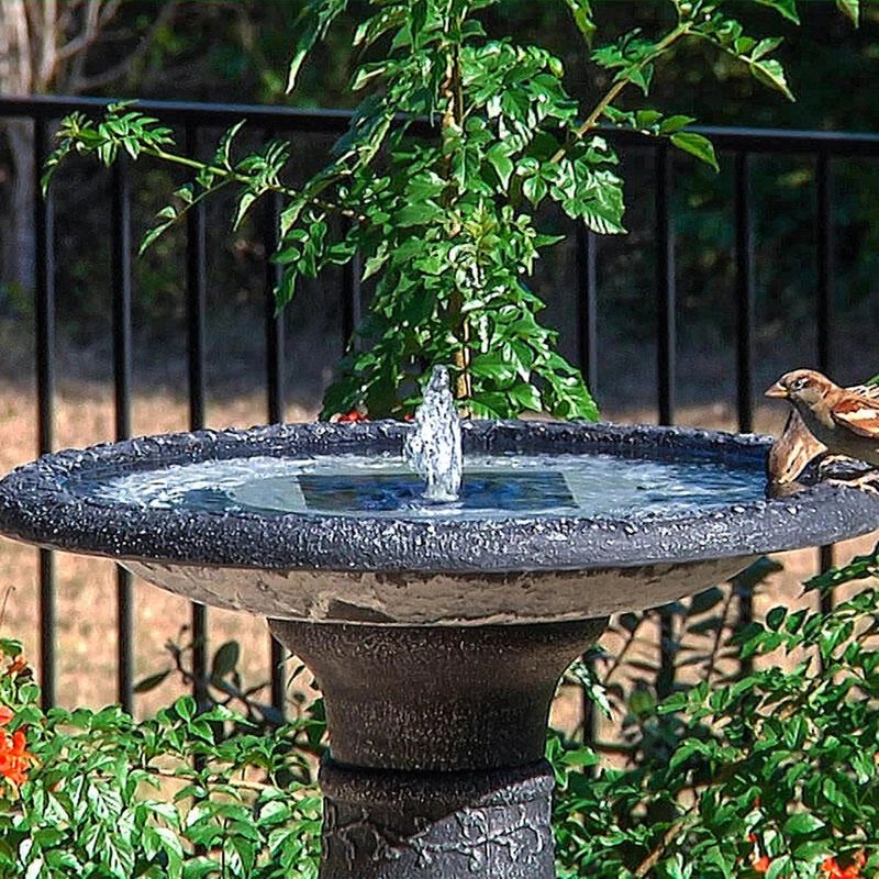 A Small Water Feature for Birds