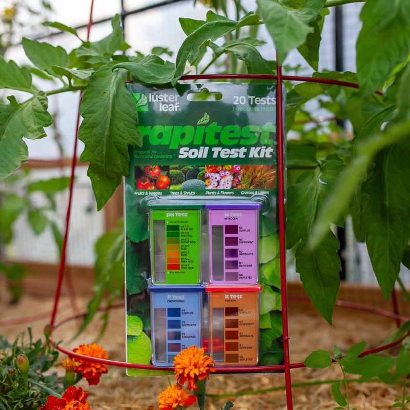 A Soil Test Helps Show Whether Potassium Belongs in the Plan