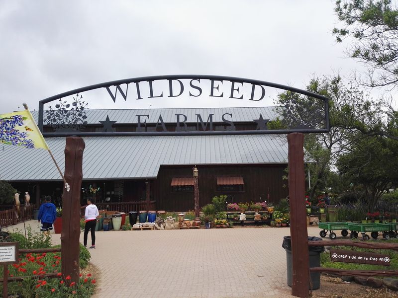 A Working Wildflower Farm Off Highway 290