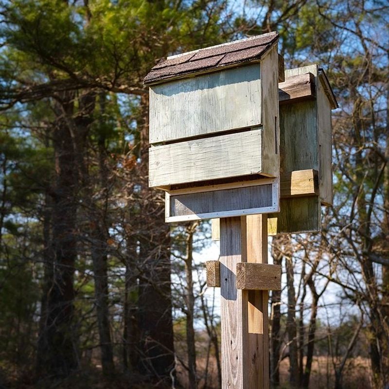 A bat house may support bats, but it will not guarantee mosquito control