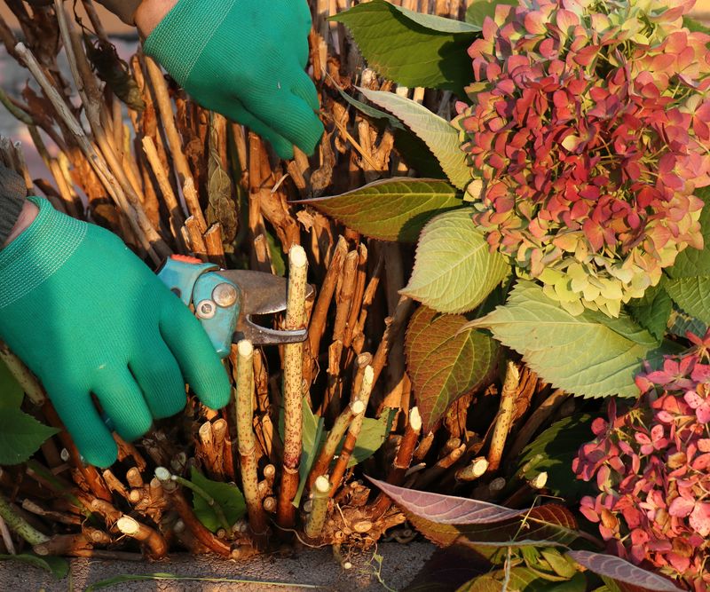 A better exposure will not repair every flowering problem A better exposure will not repair every flowering problem