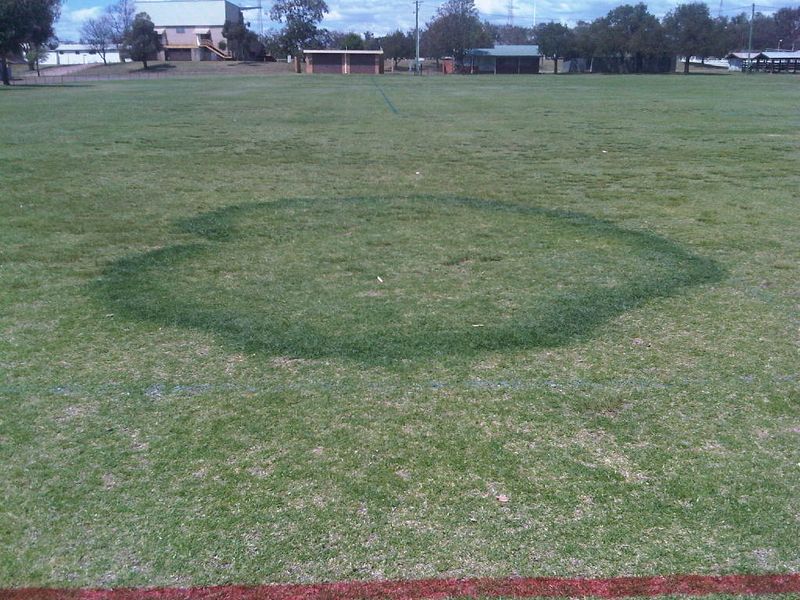 A circular turf pattern changes the diagnosis