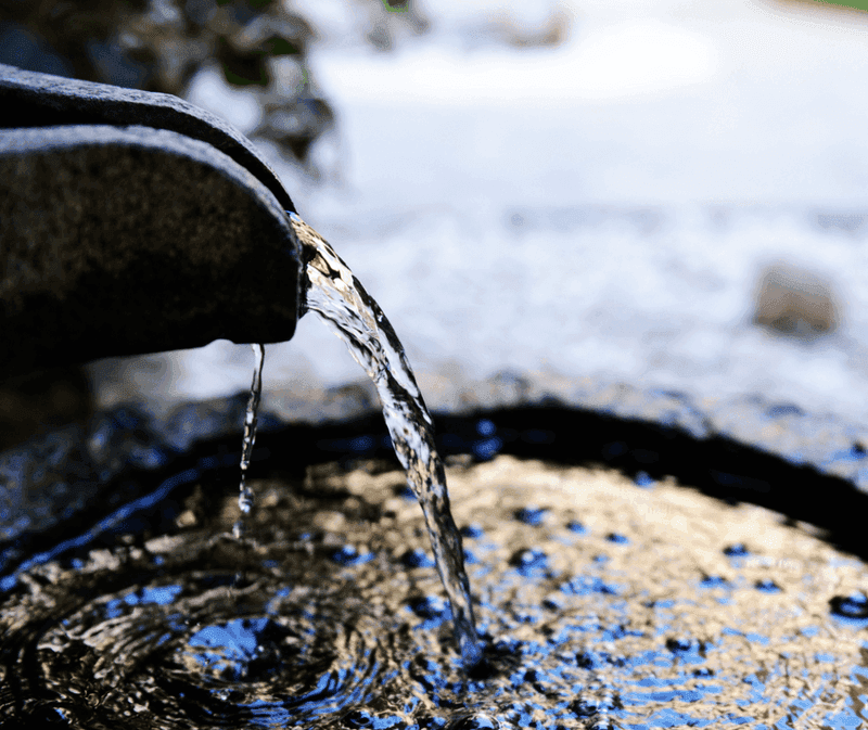 A clean water source that does not breed mosquitoes A clean water source that does not breed mosquitoes