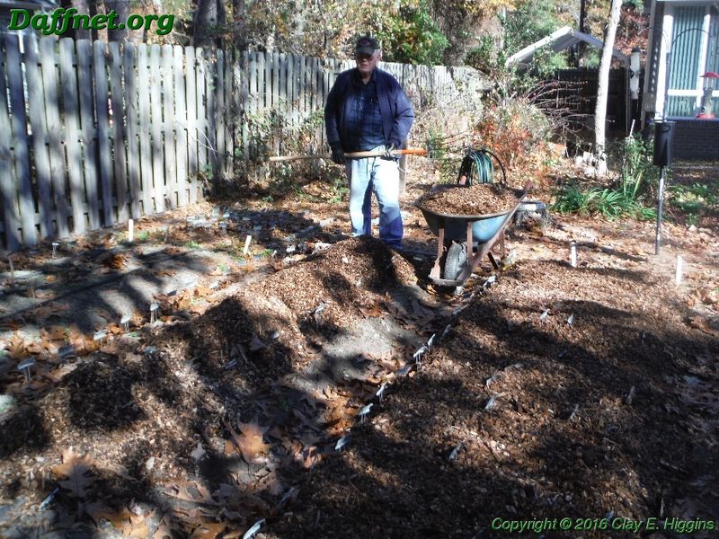 A cool-soil mulch layer can protect the bed A cool-soil mulch layer can protect the bed