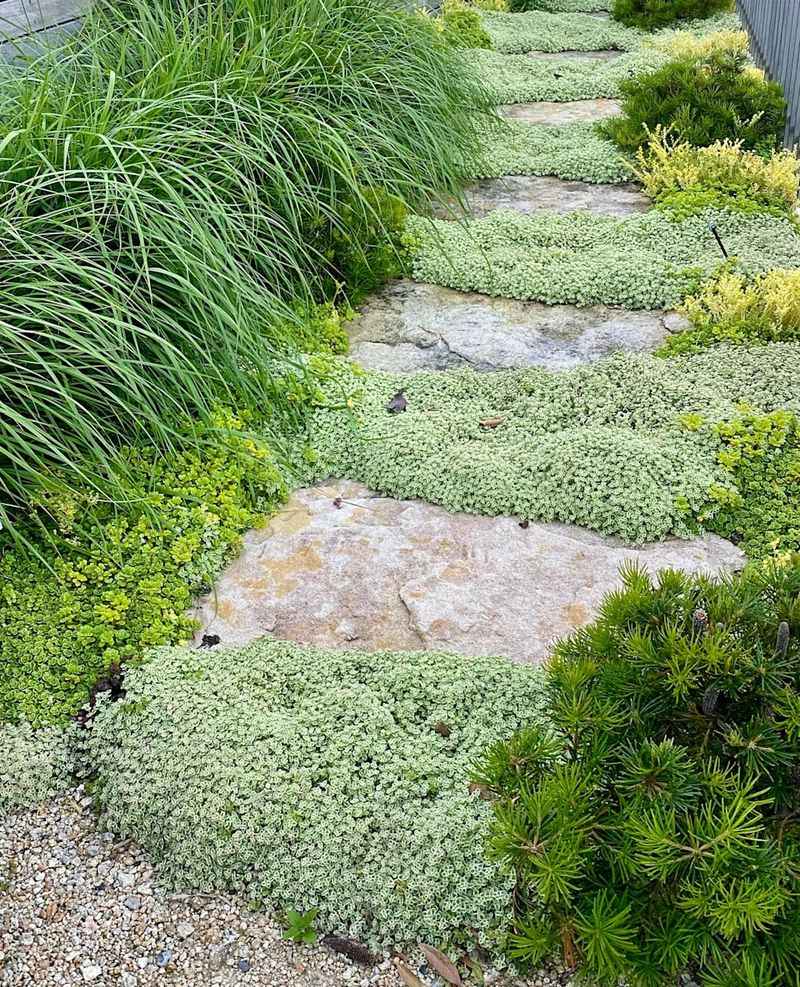 A dense mat reduces weed-friendly openings A dense mat reduces weed-friendly openings