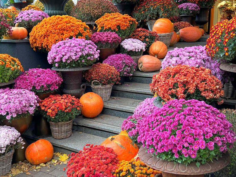 A fall reset, not a summer miracle