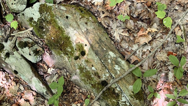 A gap signals caution, not a confirmed copperhead