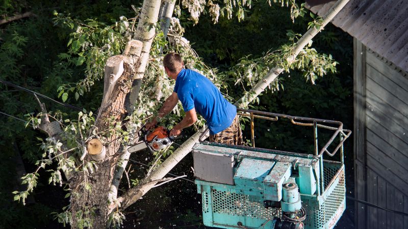 A hazard claim is different from a view complaint