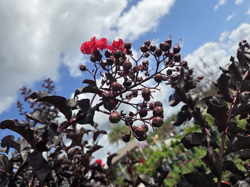 A late bloom remains possible, not promised