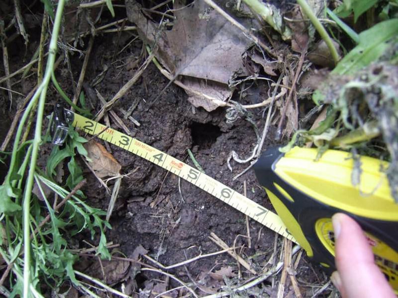 A mulch tunnel needs a diagnosis, not a guess A mulch tunnel needs a diagnosis, not a guess