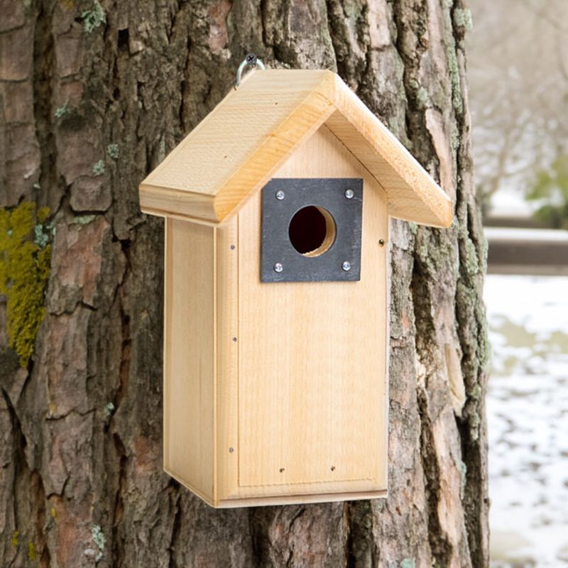 A nest box works best before nesting begins