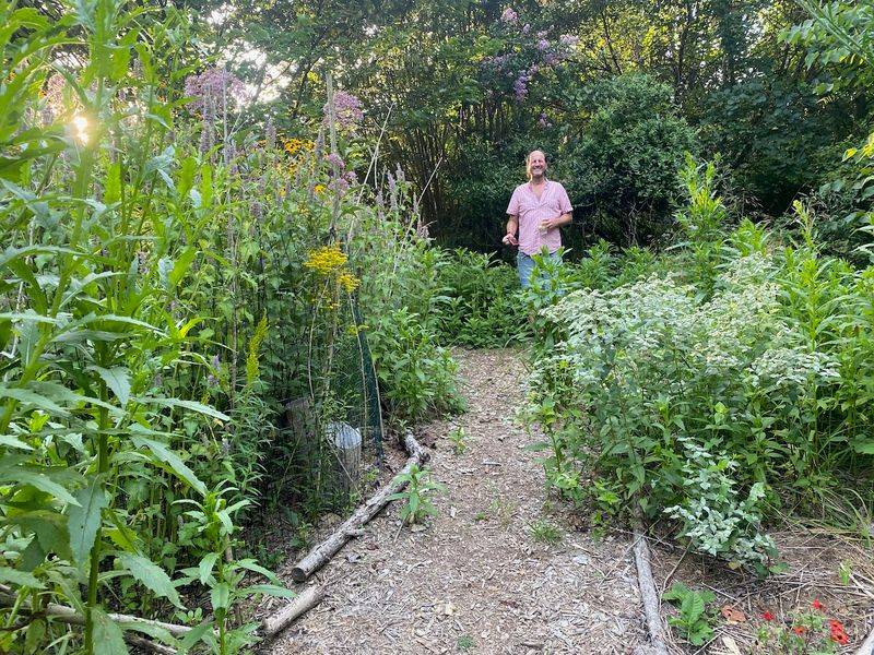 A planted shrub does not create a mosquito-free patio