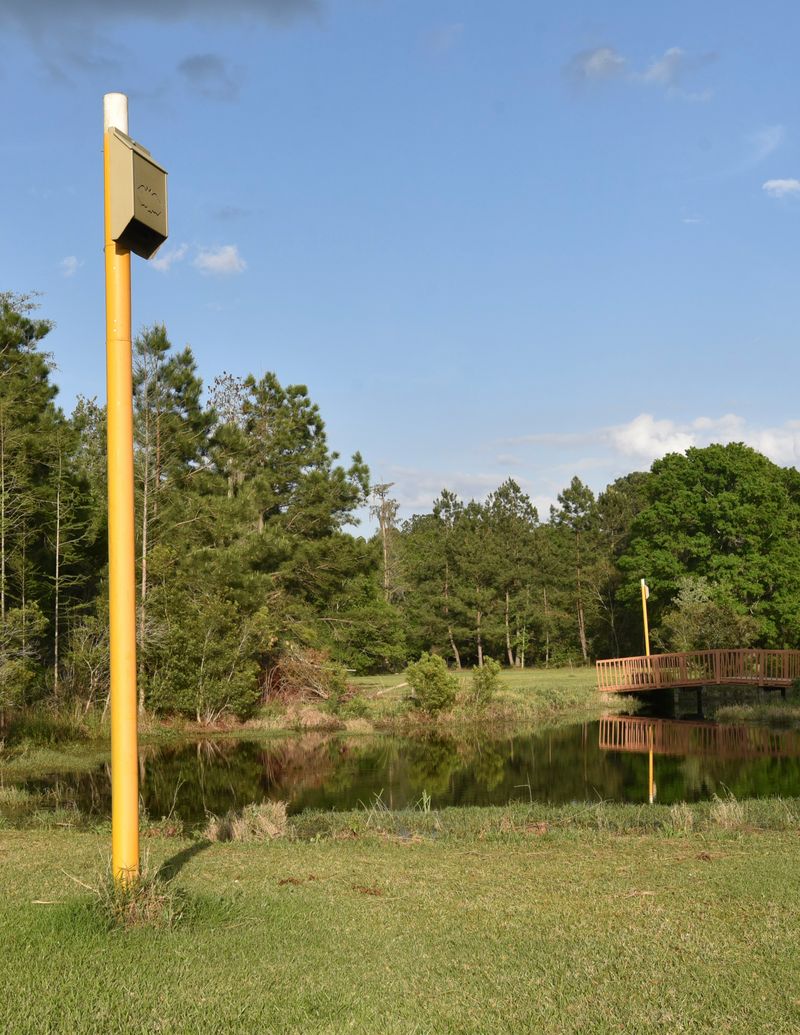 A properly placed bat house A properly placed bat house