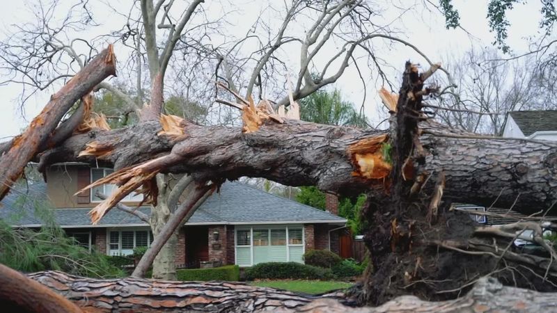 A storm can trigger the fall without erasing an earlier duty