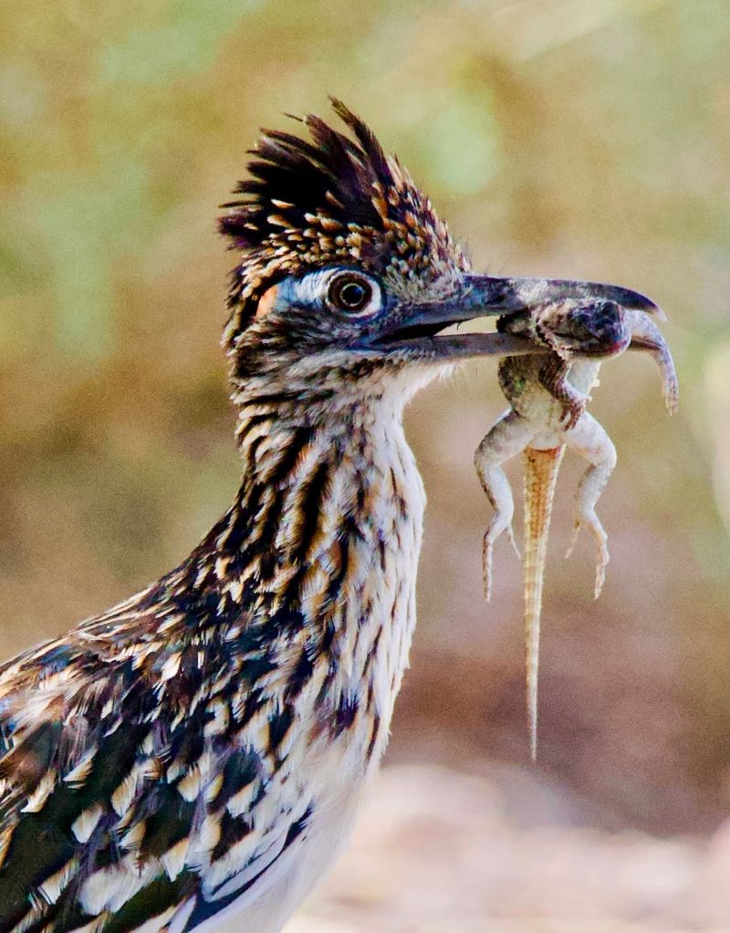 Accept the wildlife trade-offs