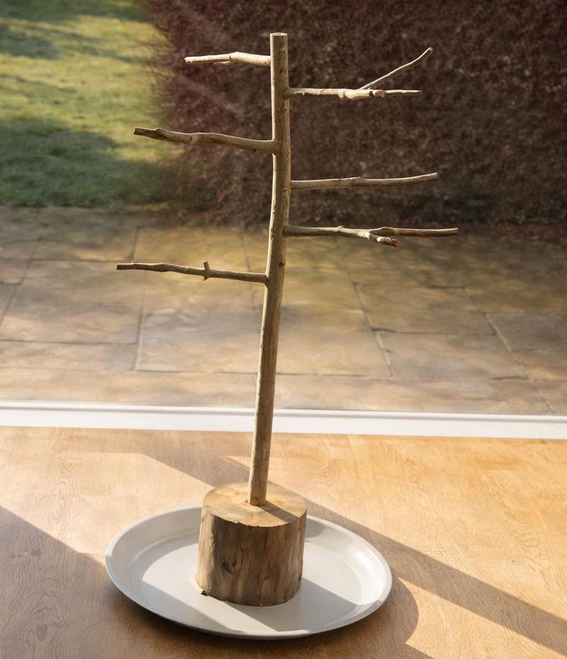 Add one safe lookout beside open insect habitat