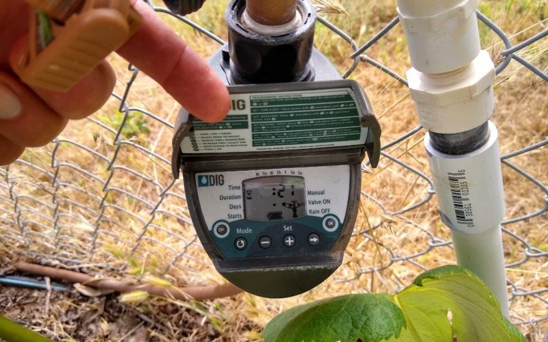 Adjust September frequency for the tree, soil, and climate Adjust September frequency for the tree, soil, and climate