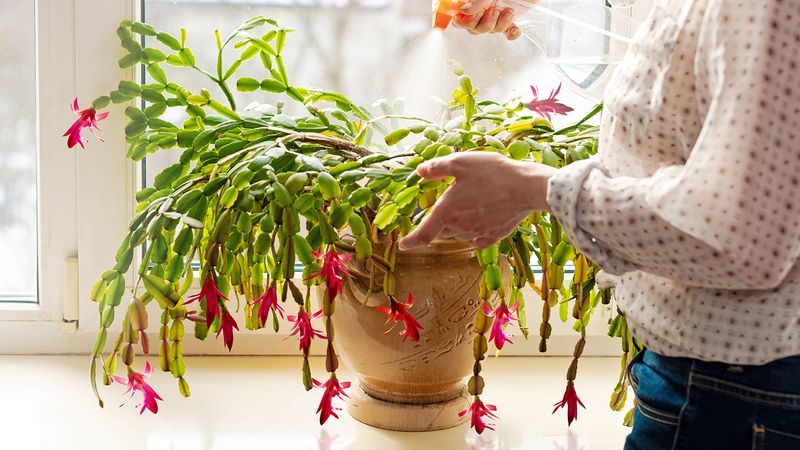 Adjust care without creating new stress