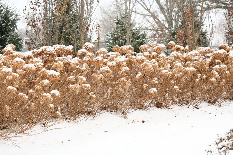 Adjust fall care to moisture, exposure, and regional climate