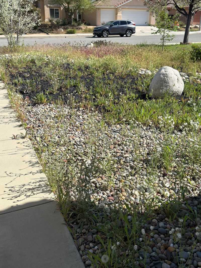 Aim for fewer weeds and easier upkeep, not a weed-proof path