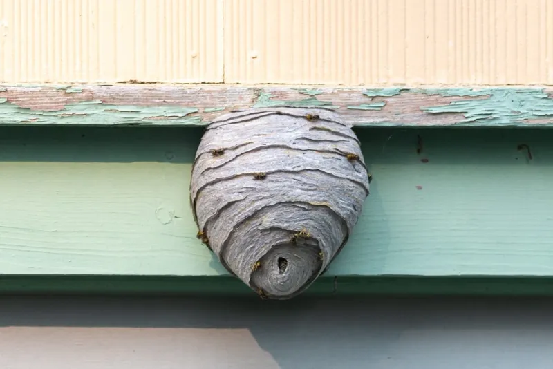 An eave usually signals shelter, not a failing roof