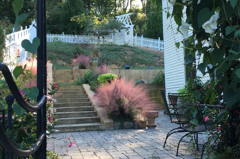 An overlooked grass for a softer patio border