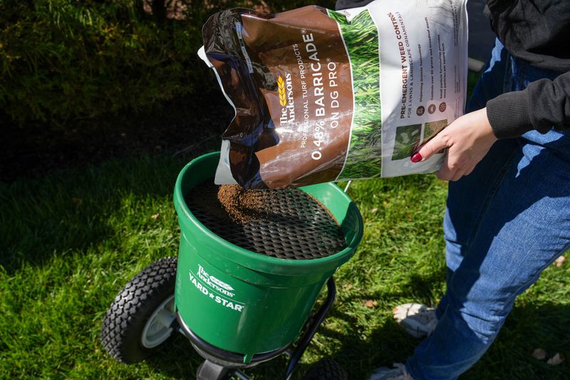 Apply preemergence products before emergence Apply preemergence products before emergence
