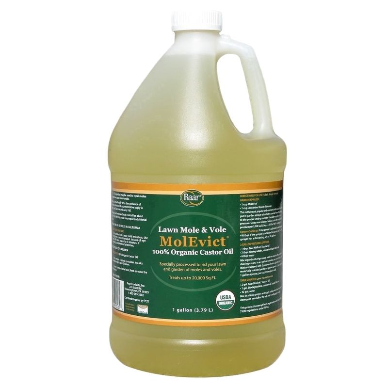 Apply the repellent according to its label Apply the repellent according to its label