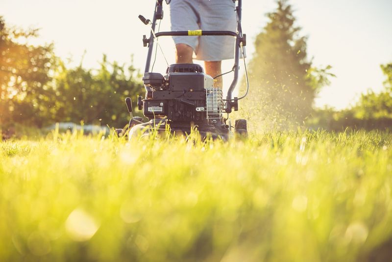 Avoid peak heat and severe turf stress Avoid peak heat and severe turf stress