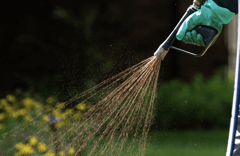 Avoid shortcuts that create new lawn problems Avoid shortcuts that create new lawn problems