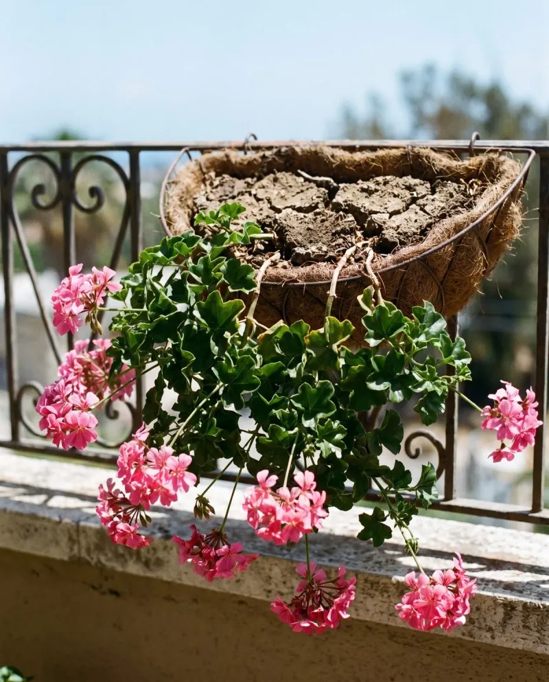 Balance soil moisture with reliable drainage