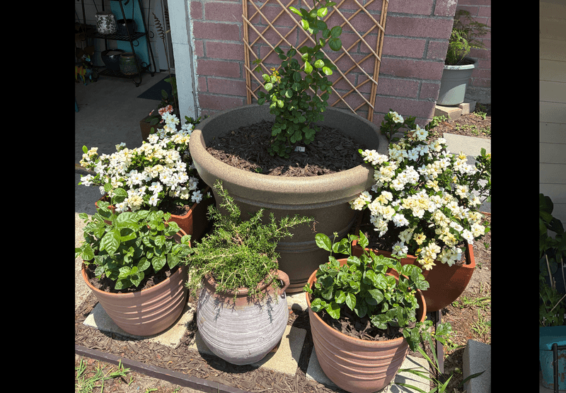 Build a container that manages heat, moisture, and drainage