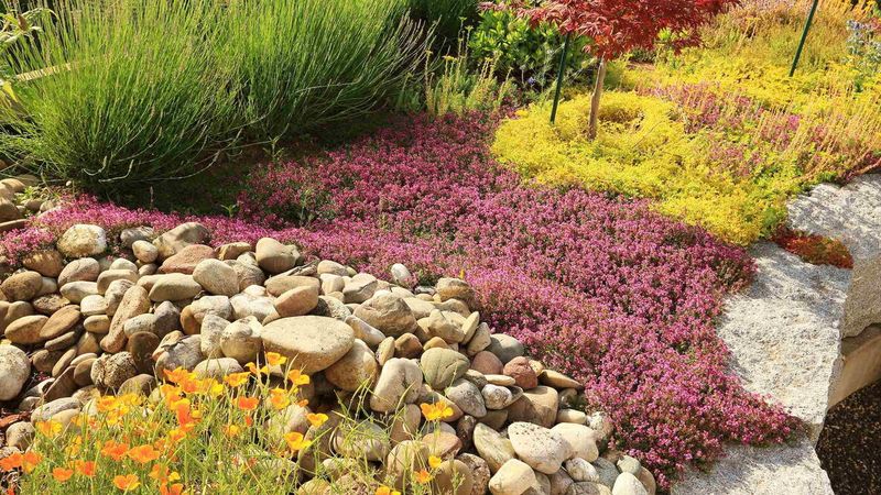 Build a more resilient bed through better decisions