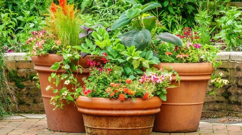 Build containers that lose moisture more slowly