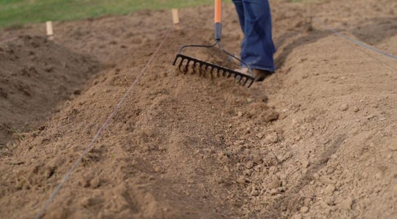 Build drainage before you plant the next clove