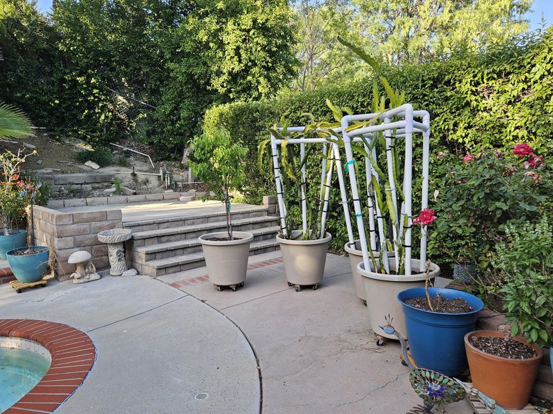 Build for the Mature Canopy Before You Plant