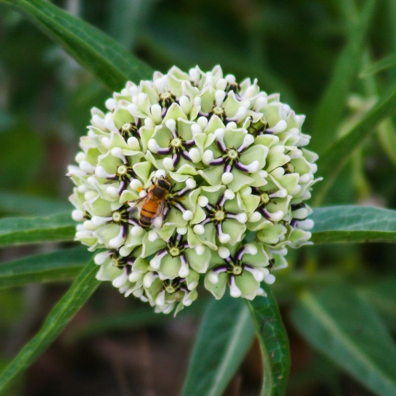 Build habitat for the yard you have