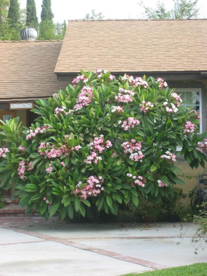 California's microclimate decides when protection starts