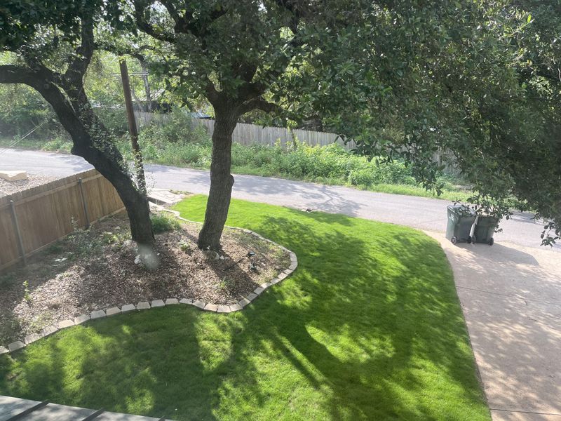 Can Your Oak Canopy Support Horseherb?