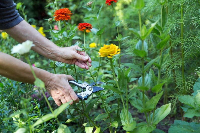 Change the conditions that keep new leaves vulnerable