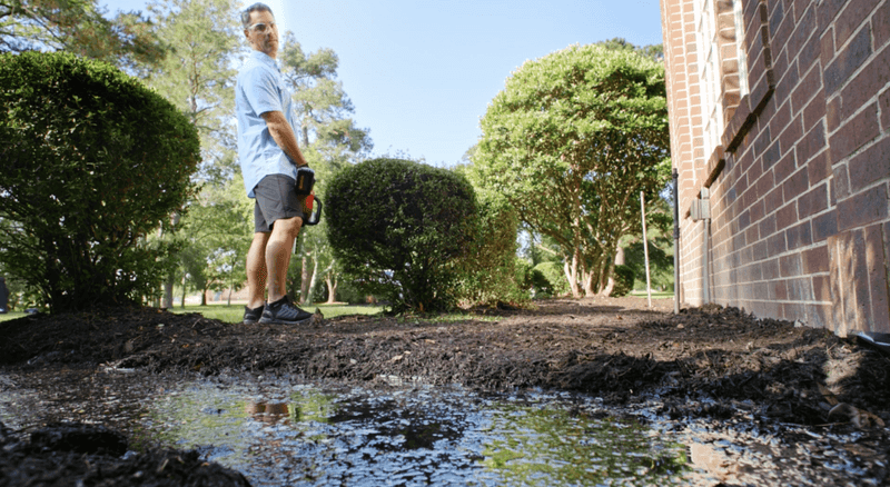 Check for water buildup, not for proof from the toads