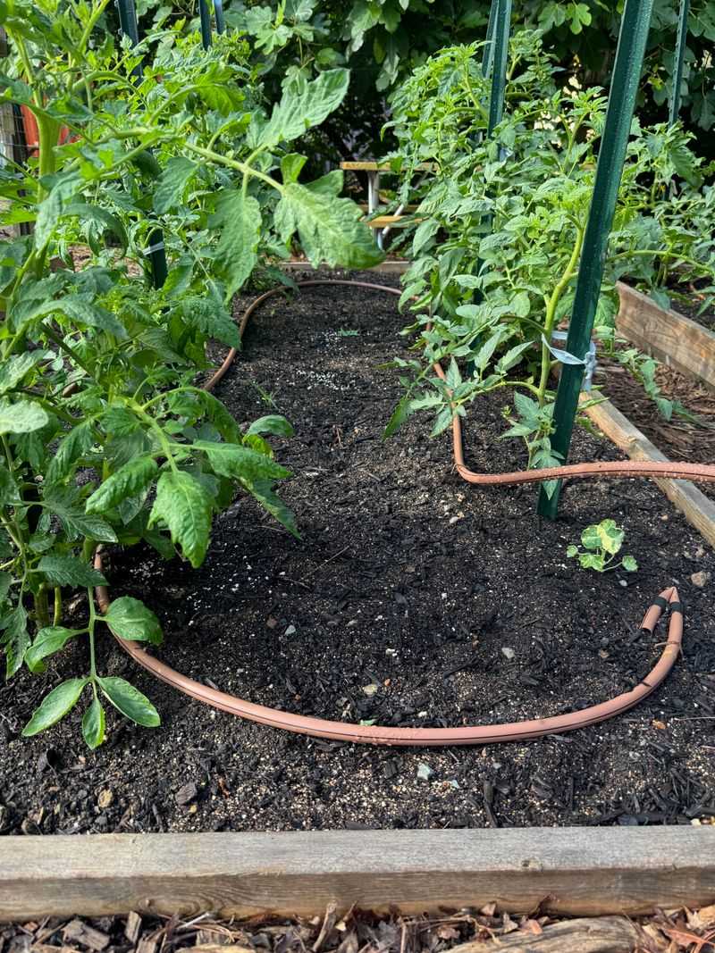 Check moisture and soil evidence before treating