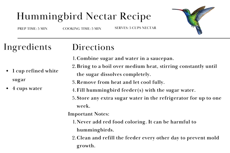 Check nectar freshness and feeder hygiene