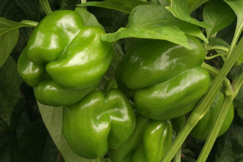 Check other conditions that can affect color