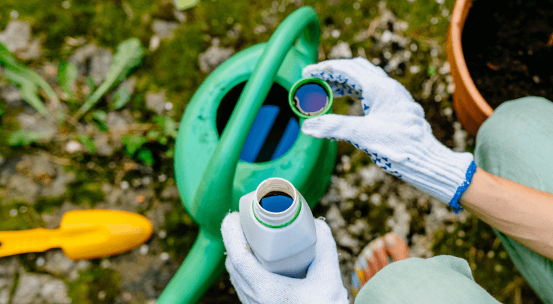 Check the center before changing your watering routine